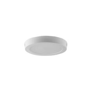 LED Stropné svietidlo LED/6W/230V 6500K biela