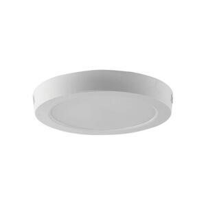 LED Stropné svietidlo LED/12W/230V 6500K biela