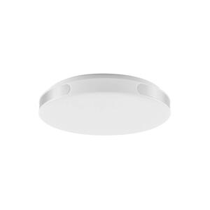 Rabalux Rabalux 71085 - LED Stropné svietidlo DANUTA LED/24W/230V 4000K pr. 39 cm