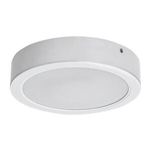 Rabalux Rabalux 71194 - LED Stropné svietidlo SHAUN LED/24W/230V pr. 22 cm biela