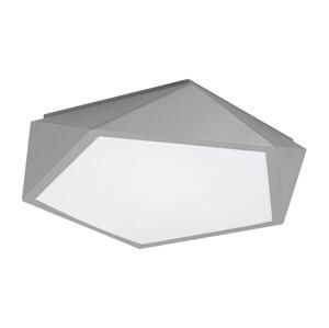 Rabalux Rabalux 71251 - LED Stropné svietidlo RAFFA LED/30W/230V 3000K