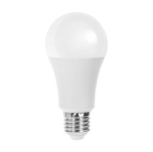 B.V. LED Žiarovka A60 E27/21W/230V 6500K -