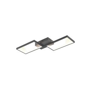 Trio Trio - LED Stmievateľný prisadený luster CAFU 2xLED/7W/230V