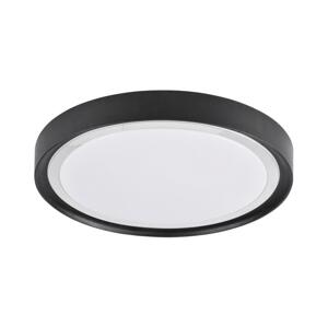 LED Stropné svietidlo PERSE LED/15W/230V čierna