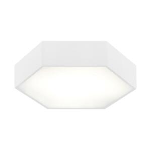 Argon Argon 3827 - LED Stropné svietidlo ARIZONA LED/22,5W/230V biela