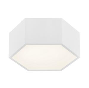 Argon Argon 3828 - LED Stropné svietidlo ARIZONA LED/9W/230V biela