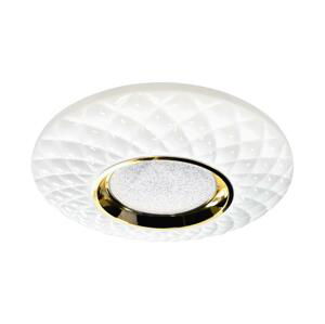 LED Stmievateľné stropné svietidlo TOKYO LED/48W/230V 3000-6000K + DO