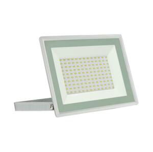 LED Vonkajší reflektor NOCTIS LUX 3 LED/100W/230V 4000K IP65 biela