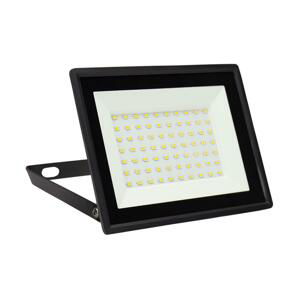 LED Vonkajší reflektor NOCTIS LUX 3 LED/50W/230V 6000K IP65 čierna