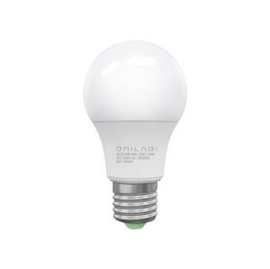 BRILAGI LED Žiarovka ECOLINE A60 E27/10W/230V 6500K - Brilagi