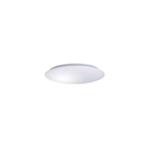 LED Stropné svietidlo AVESTA LED/12W/230V IP54