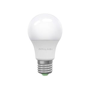 BRILAGI LED Žiarovka ECOLINE A60 E27/15W/230V 3000K - Brilagi