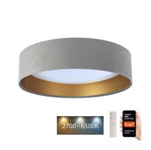 LED Stropné svietidlo SMART GALAXY LED/24W/230V Wi-Fi Tuya šedá/zlatá + DO