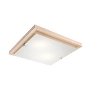 LED Stropné svietidlo 1xLED/24W/230V