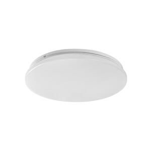 Rabalux Rabalux 71101 - LED Stropné svietidlo VENDEL LED/12W/230V 3000K 25 cm