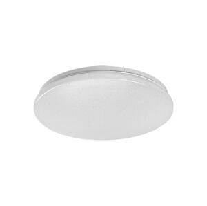 Rabalux Rabalux 71104 - LED Stropné svietidlo VENDEL LED/12W/230V 4000K 25 cm