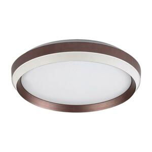 Rabalux Rabalux 71159 - LED Stropné svietidlo FONTANA LED/24W/230V 3000K