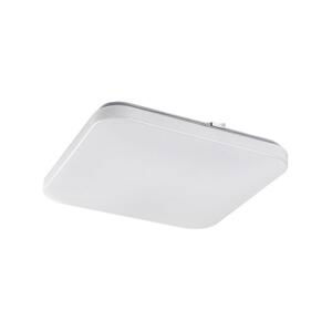 Rabalux Rabalux 75013-LED Stropné svietidlo so senzorom VENDEL LED/12W/230V 4000K 28x28cm