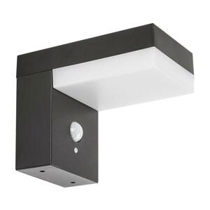 Rabalux Rabalux 77009 - LED Solárne svietidlo so senzorom ZREBAR LED/6W/3,7V IP44