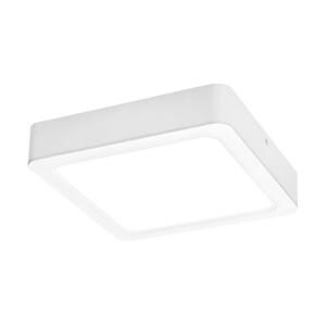 Rabalux Rabalux 3176 - LED Stropné svietidlo SHAUN LED/24W/230V 22 cm