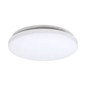 Rabalux Rabalux 3338 - LED Stropné svietidlo ROB LED/20W/230V