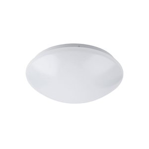 Rabalux Rabalux 3436 - LED Stropné svietidlo LUCAS 1xLED/24W/230V