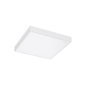 Rabalux Rabalux - LED Stropné svietidlo LED/24W/230V 3000-6000K IP44 biela