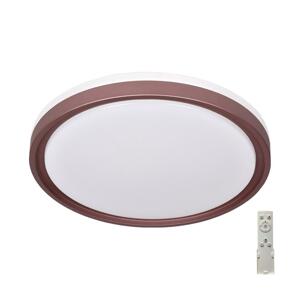 Prezent Prezent -LED Stmievateľné stropné svietidlo FLOREN LED/33W/230V 3000-6500K+DO