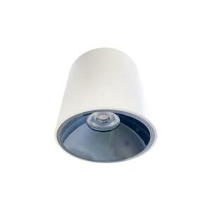 LED Bodové svietidlo LED/12W/230V 4000K pr. 8 cm biela