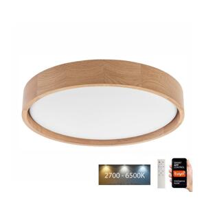 BRILAGI Brilagi - LED Stropné svietidlo MANAROLA SMART LED/24W/230V + DO Tuya