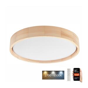 BRILAGI Brilagi - LED Stropné svietidlo MANAROLA SMART LED/24W/230V + DO Tuya