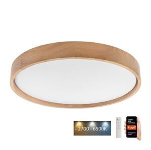 BRILAGI Brilagi - LED Stropné svietidlo MANAROLA SMART LED/36W/230V + DO Tuya