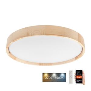 BRILAGI Brilagi - LED Stropné svietidlo MANAROLA SMART LED/36W/230V + DO Tuya