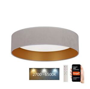 BRILAGI Brilagi - LED Stmievateľné svietidlo VELVET SMART LED/24W/230V Wi-Fi Tuya + DO