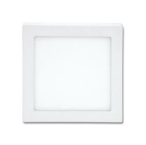 LED Stropné svietidlo RAFA LED/12W/230V 2700K