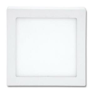 LED Stropné svietidlo RAFA LED/25W/230V 2700K