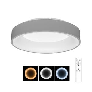 BRILAGI Brilagi - LED Stmievateľné stropné svietidlo LED/40W/230V 3000-6500K šedá + DO