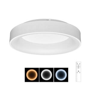 BRILAGI Brilagi - LED Stmievateľné stropné svietidlo FALCON LED/80W/230V 3000-6500K + DO