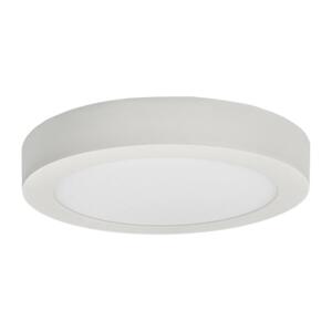 Greenlux LED Stropné svietidlo FENIX LED/24W/230V 2800K pr. 29,8 cm