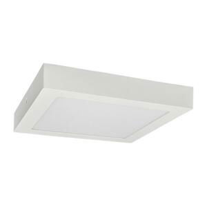 Greenlux LED Stropné svietidlo FENIX LED/12W/230V 3800K 17 cm