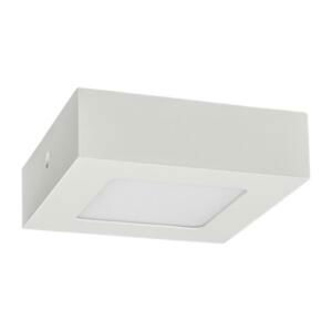 Greenlux LED Stropné svietidlo FENIX LED/6W/230V 3800K 12 cm