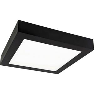 Greenlux LED Stropné svietidlo FENIX LED/12W/230V 3800K 17 cm