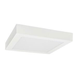 Greenlux LED Stropné svietidlo FENIX LED/12W/230V 3800K 17 cm snehovo biela