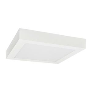 Greenlux LED Stropné svietidlo FENIX LED/24W/230V 3800K 29,8 cm snehovo biela