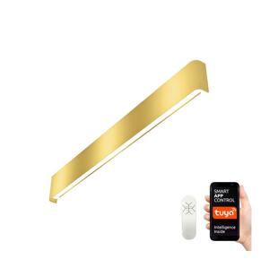 Neo  NEO 07137-G - LED SMART Nástenné svietidlo LINEA LED/40W/230V + DO 76 cm