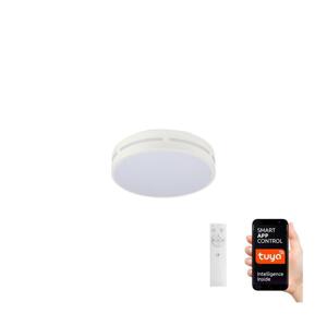 Neo  NEO 07153-W30 - LED Stmievateľné svietidlo PERFECTO 24W/230V Wi-Fi Tuya + DO