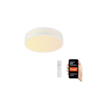 Neo  NEO 07153-W40 - LED Stmievateľné svietidlo PERFECTO 24W/230V Wi-Fi Tuya + DO