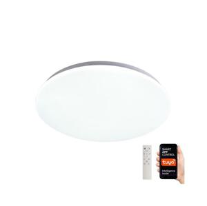 Neo  NEO 07156-38 - LED Stmievateľné svietidlo ANCORA LED/24W/230V Wi-Fi Tuya+DO