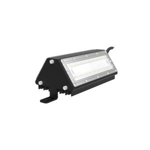 Sinclair Sinclair - LED Reflektor pre vínne pivnice FL LED/30W/230V 2700K IK10 IP66