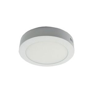 LED Stropné svietidlo LED/12W/230V 3000K